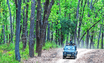 bandhavgarh_national_park_safari