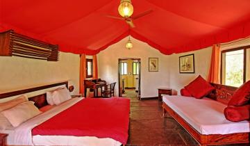Monsoon Forest Room